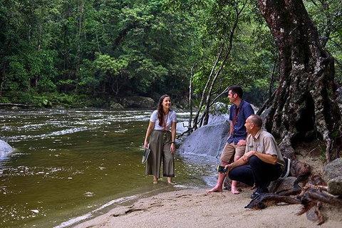 Daintree And Cape Tribulation Tour From Cairns - Accommodation Broadbeach 2