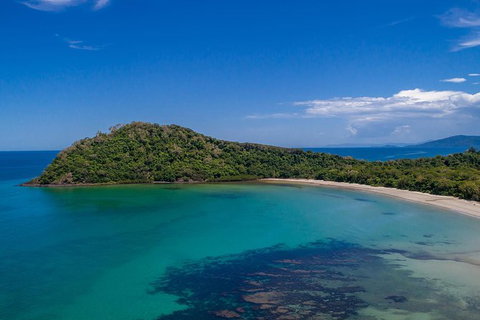 Daintree And Cape Tribulation Tour From Cairns - Accommodation Broadbeach 7