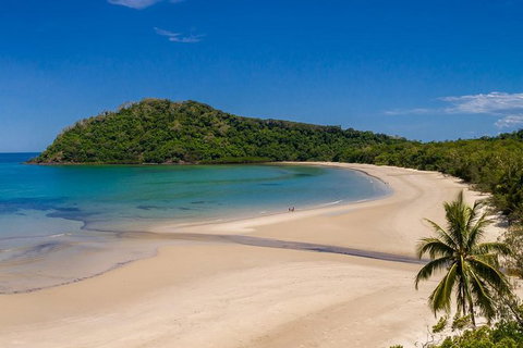 Daintree And Cape Tribulation Tour From Cairns - Accommodation Broadbeach 8