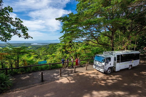 Daintree And Cape Tribulation Tour From Cairns - Accommodation Broadbeach 5