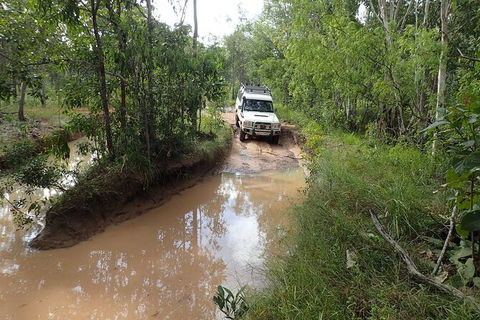 Cairns 4WD Waterfall And Rainforest Tour Including Kuranda Scenic Railway - Accommodation Broadbeach 3