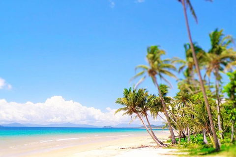 Airport Transfer - Mission Beach To Cairns Airport - Accommodation Broadbeach 3