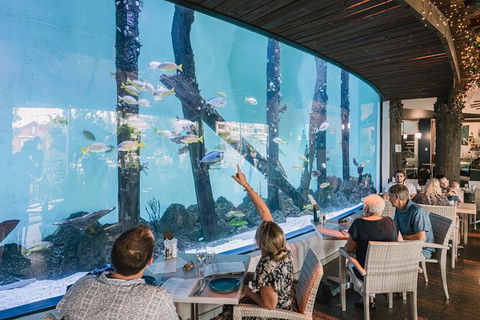 Cairns Aquarium By Twilight With 3 Course Dinner - Accommodation Broadbeach 1