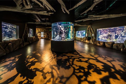 Cairns Aquarium Tour By Twilight With Drink And Appetiser - Accommodation Broadbeach 4