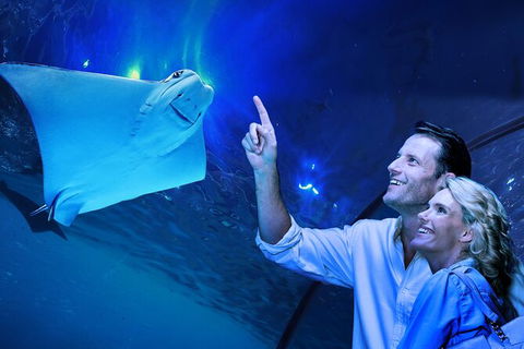 Cairns Aquarium Tour By Twilight With Drink And Appetiser - Accommodation Broadbeach 0