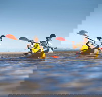 Kangaroo Island Self-Guided Kayaking on the Harriet River - Accommodation Broadbeach