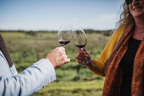 Armagh Vineyard Exclusive Wine Experience And Lunch - Accommodation Broadbeach 1