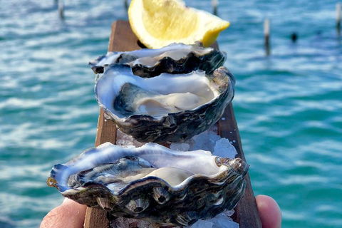 Coffin Bay Oysters, Ocean & Nature Tour - Accommodation Broadbeach 0