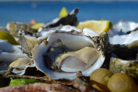 Coffin Bay Oysters, Ocean & Nature Tour - Accommodation Broadbeach 8