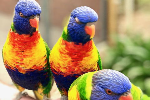 Coffin Bay Oysters, Ocean & Nature Tour - Accommodation Broadbeach 9