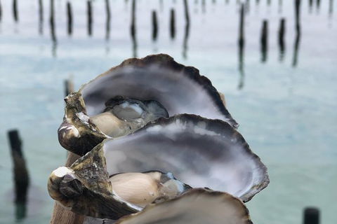 Coffin Bay Oysters, Ocean & Nature Tour - Accommodation Broadbeach 6