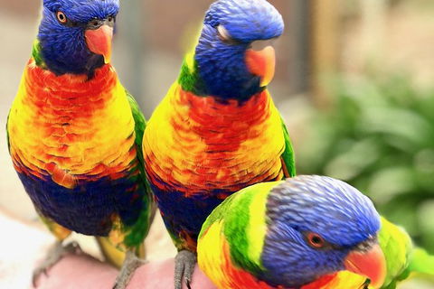 Coffin Bay Oysters, Ocean & Nature Tour - Accommodation Broadbeach 1