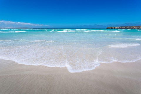 Coffin Bay Oysters, Ocean & Nature Tour - Accommodation Broadbeach 14