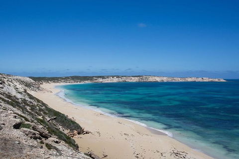 Coffin Bay Oysters, Ocean & Nature Tour - Accommodation Broadbeach 16