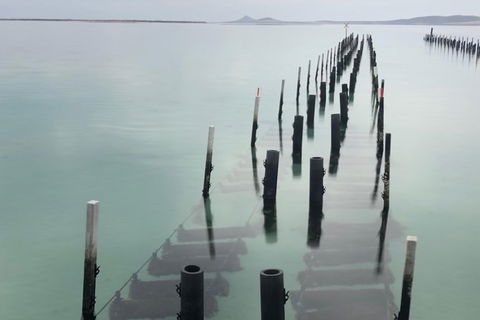 Coffin Bay Oysters, Ocean & Nature Tour - Accommodation Broadbeach 15