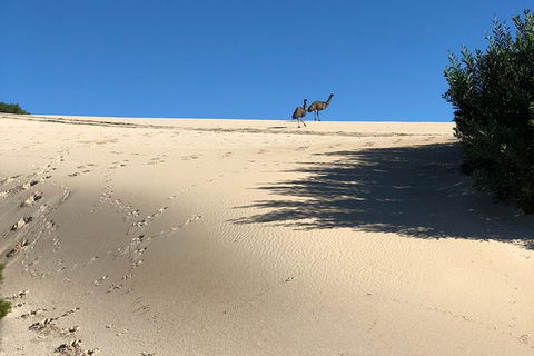 Coffin Bay Oysters, Ocean & Nature Tour - Accommodation Broadbeach 4