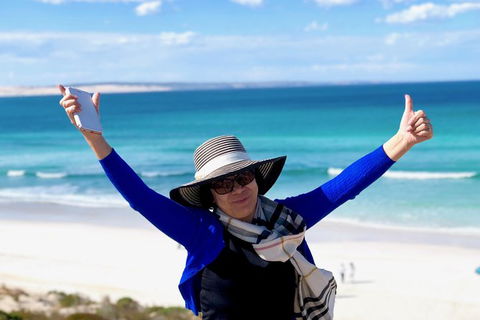 Coffin Bay Oysters, Ocean & Nature Tour - Accommodation Broadbeach 11