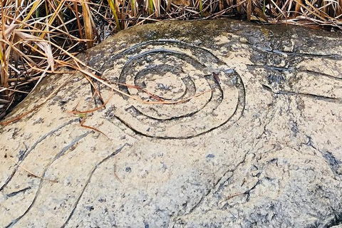 Adelaide Cultural Safari - Private Charters - Accommodation Broadbeach 2