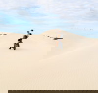 Kangaroo Island 2 Hour Bike Tour - Accommodation Broadbeach