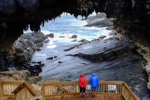 Full-Day Kangaroo Island Safari From Penneshaw - Accommodation Broadbeach 1