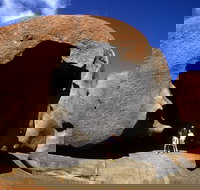 Full-Day Kangaroo Island Safari from Penneshaw - Accommodation Broadbeach