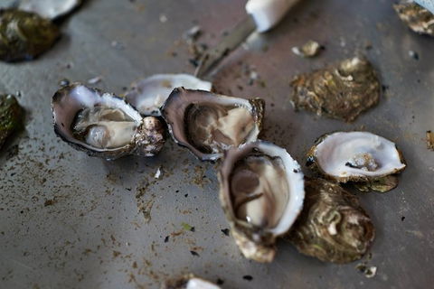 Fine Flavours - Full Day Kangaroo Island Food & Wine Tour - Accommodation Broadbeach 10