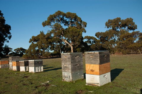 Fine Flavours - Full Day Kangaroo Island Food & Wine Tour - Accommodation Broadbeach 5