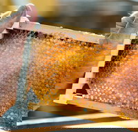 Fine Flavours - Full Day Kangaroo Island Food  Wine Tour - Accommodation Broadbeach