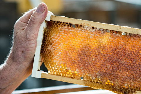 Fine Flavours - Full Day Kangaroo Island Food & Wine Tour - Accommodation Broadbeach 0