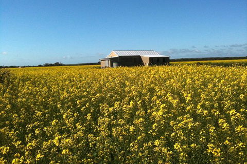 Fine Flavours - Full Day Kangaroo Island Food & Wine Tour - Accommodation Broadbeach 11