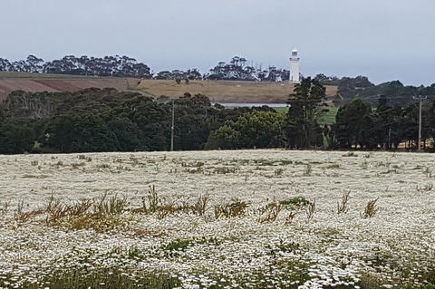 Cruise Ship Excursion: Stanley - Accommodation Broadbeach 7