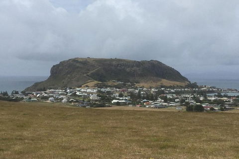 Cruise Ship Excursion: Stanley - Accommodation Broadbeach 2