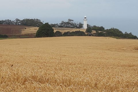 Cruise Ship Excursion: Stanley - Accommodation Broadbeach 16