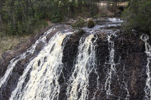 Cruise Ship Excursion: Stanley - Accommodation Broadbeach 15