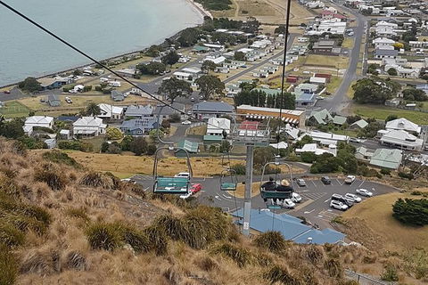 Cruise Ship Excursion: Stanley - Accommodation Broadbeach 14