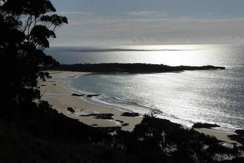 Cruise Ship Excursion: Stanley - Accommodation Broadbeach 24