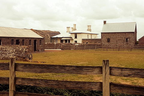 Cruise Ship Excursion: Stanley - Accommodation Broadbeach 17