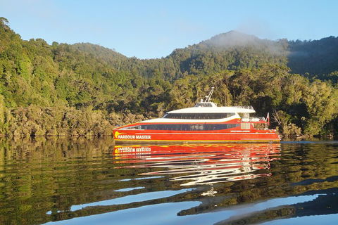 Afternoon Gordon River Dinner Cruise - Departing 3pm - Accommodation Broadbeach 1