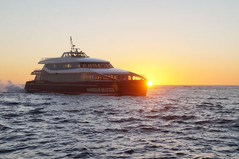 Afternoon Gordon River Dinner Cruise - Departing 3pm - Accommodation Broadbeach 0