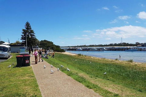 Phillip Island Penguin And Wildlife Tour - Accommodation Broadbeach 25