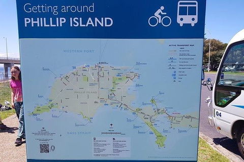 Phillip Island Penguin And Wildlife Tour - Accommodation Broadbeach 28
