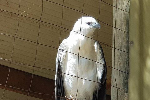 Phillip Island Penguin And Wildlife Tour - Accommodation Broadbeach 21