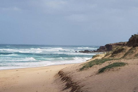 Phillip Island Penguin And Wildlife Tour - Accommodation Broadbeach 10