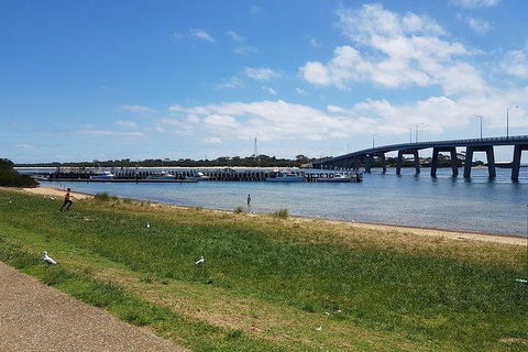 Phillip Island Penguin And Wildlife Tour - Accommodation Broadbeach 24