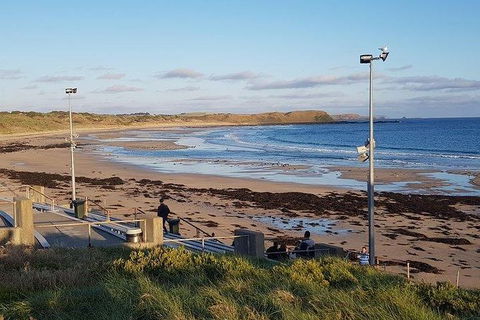 Phillip Island Penguin And Wildlife Tour - Accommodation Broadbeach 8