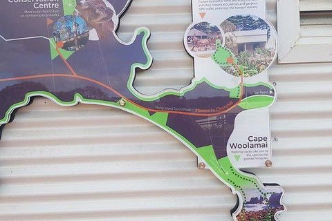 Phillip Island Penguin And Wildlife Tour - Accommodation Broadbeach 29