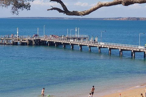 Phillip Island Penguin And Wildlife Tour - Accommodation Broadbeach 2