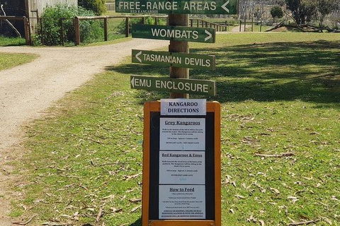 Phillip Island Penguin And Wildlife Tour - Accommodation Broadbeach 4