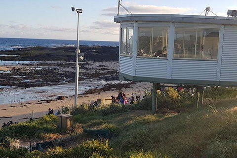 Phillip Island Penguin And Wildlife Tour - Accommodation Broadbeach 33