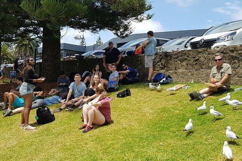 Phillip Island Penguin And Wildlife Tour - Accommodation Broadbeach 22